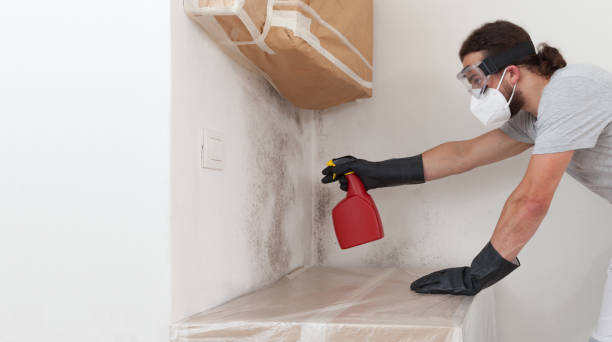 Professional Crawl Space Mold Removal technician working in Levittown, NY