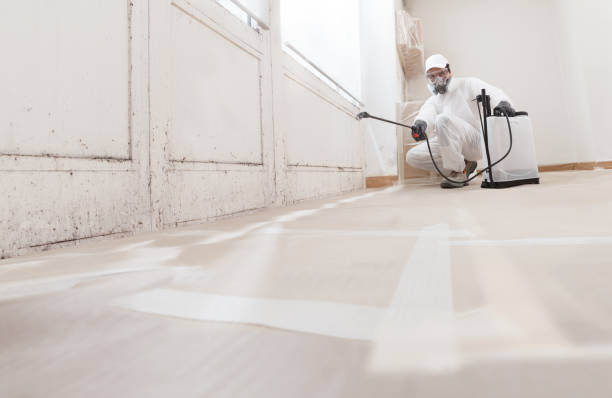 24/7 Emergency Crawl Space Mold Removal experts in Levittown, NY
