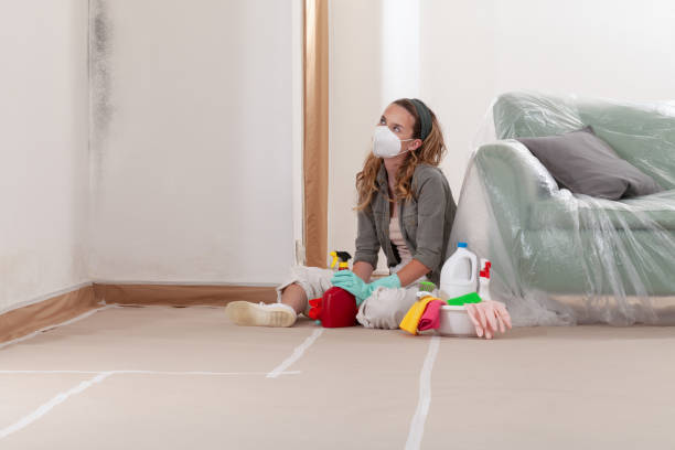 Reliable Crawl Space Mold Removal contractor in Levittown, NY by WQB Mold Removal